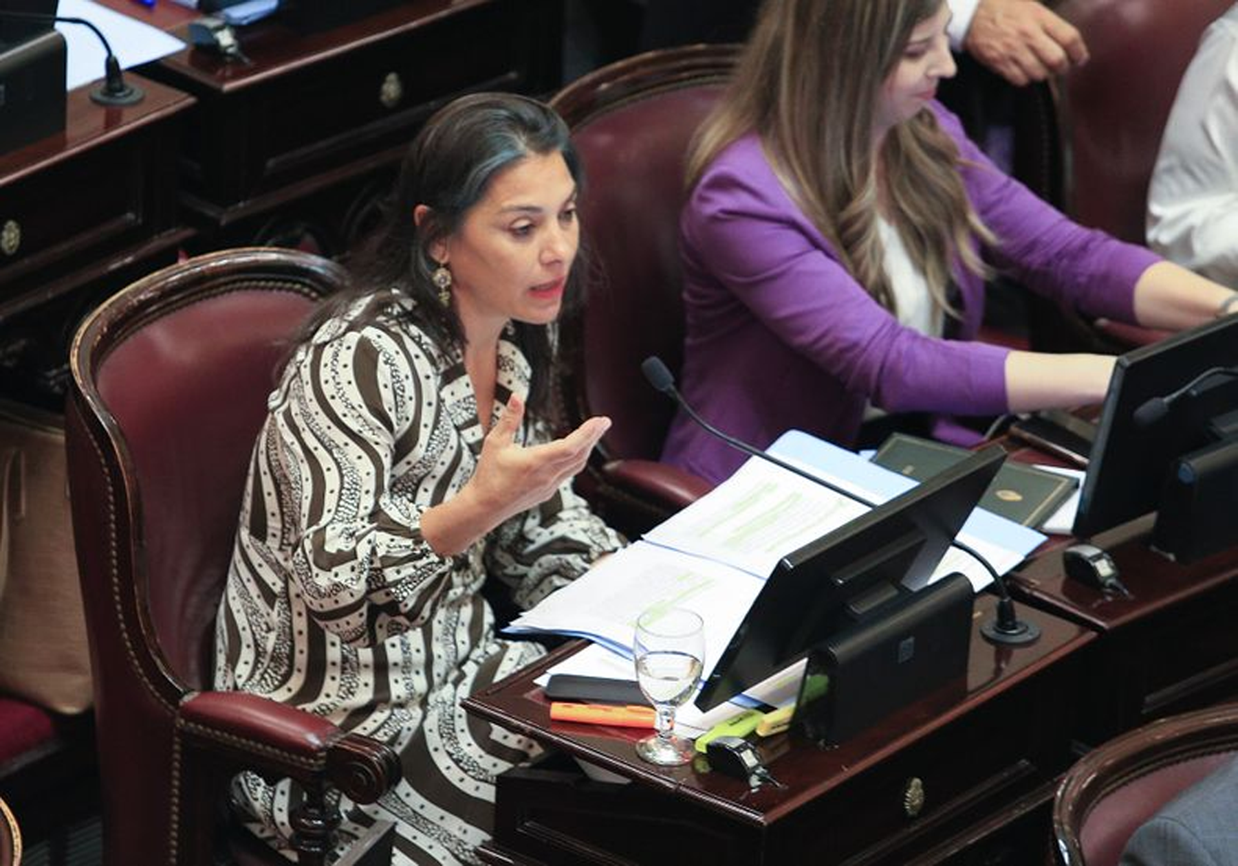 La senadora de Neuquén, Lucila Crexell. 