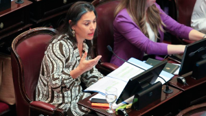 Una senadora de La Rioja apuntó contra Lucila Crexell por su postulación como embajadora de la Unesco