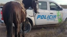 Imagen de Robó una tropilla de yeguas y las arreaba por las bardas pero lo detuvieron en Mainqué