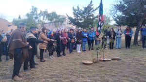 El Wiñoy Xipantu mapuche se realizó en la UNCo intercultural
