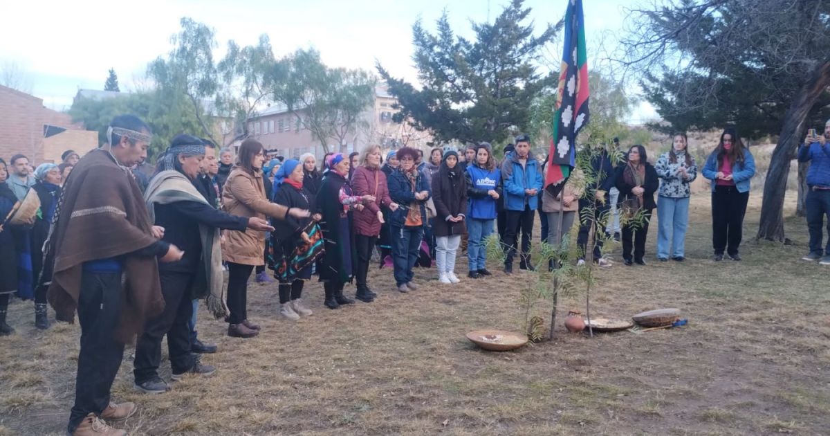 El Wiñoy Xipantu mapuche se realizó en la UNCo intercultural - Diario ...