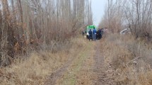 Imagen de Investigan la muerte de un hombre en la zona de chacras de Cipolletti: cuál fue el resultado de la autopsia