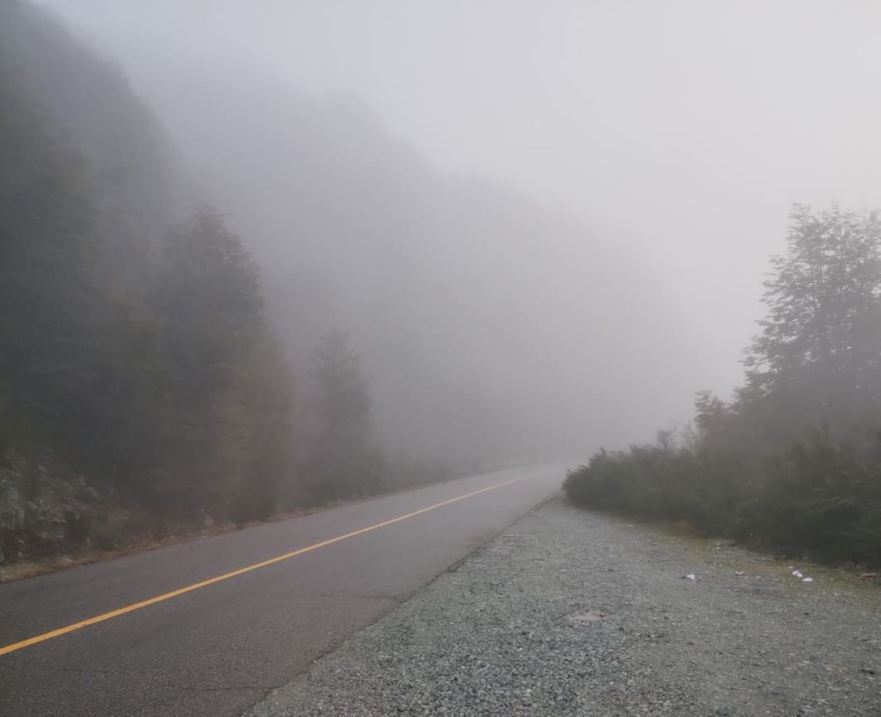 Un sector de la Ruta 40, cercano a Bariloche, con niebla. Foto: Gentileza Vialidad nacional.  