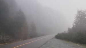 Neblina en Ruta 40: se disipó y ahora hay visibilidad normal en el tramo cercano a Bariloche