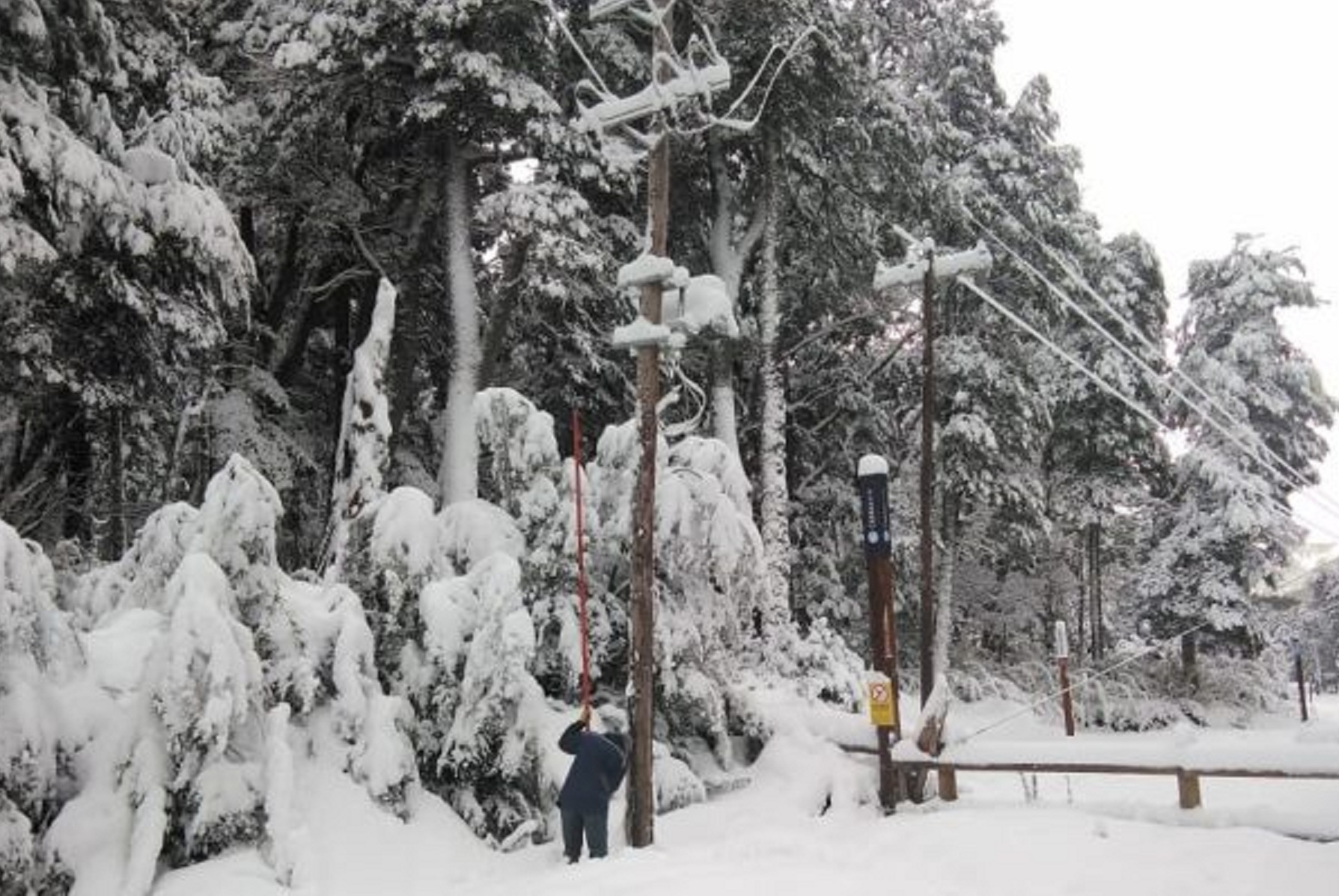 Más de 40 postes cayeron por el temporal. Foto EPEN