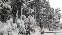 Imagen de Temporal de nieve: El EPEN trabaja en el norte neuquino para restablecer el servicio eléctrico