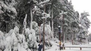 Temporal de nieve: El EPEN trabaja en el norte neuquino para restablecer el servicio eléctrico
