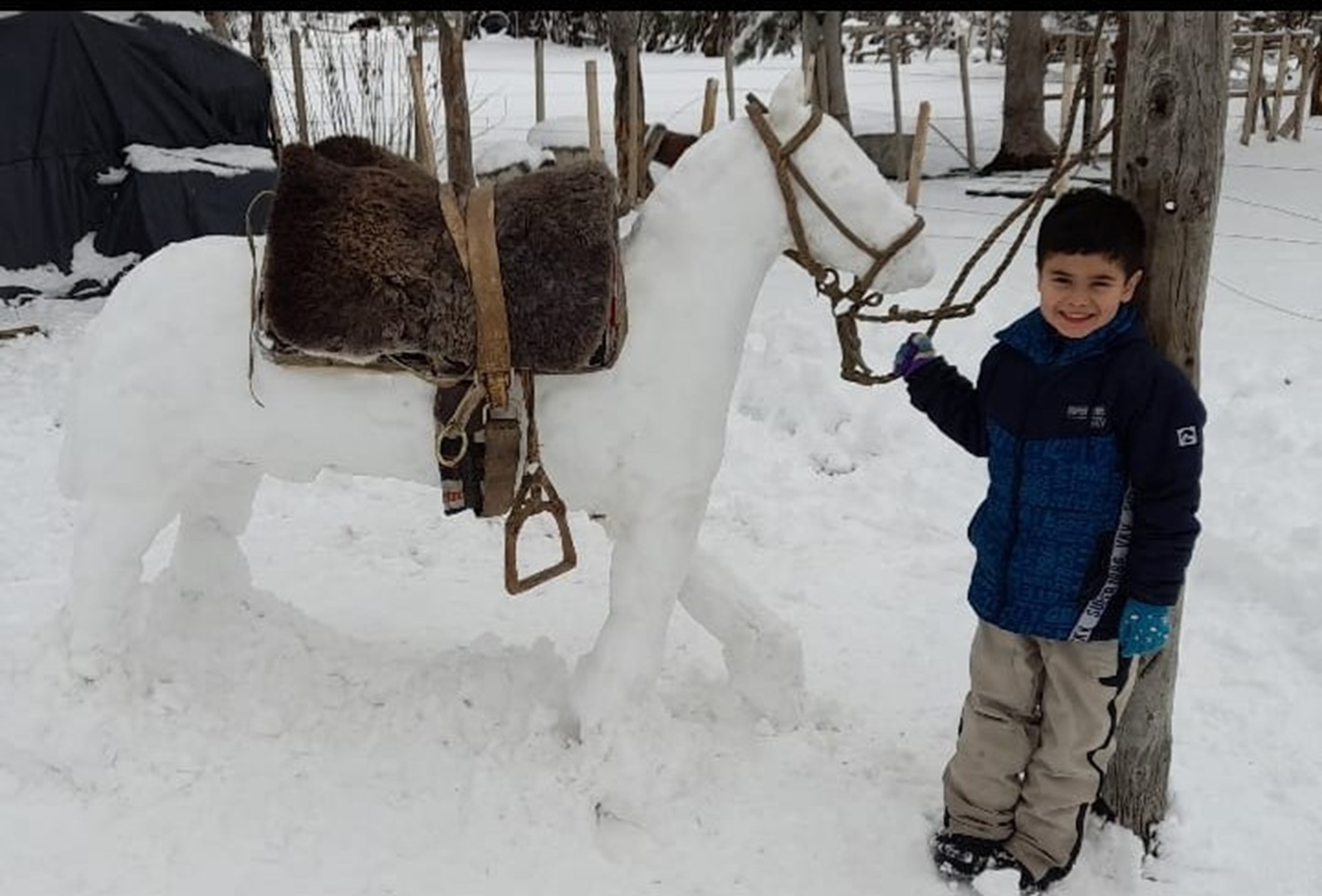 La cara más linda del temporal en Neuquén: la historia del caballito criollo de nieve que se hizo viral . Foto: Familia Pinilla