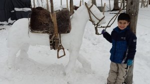 La cara más linda del temporal en Neuquén: la historia del caballito criollo de nieve que se hizo viral