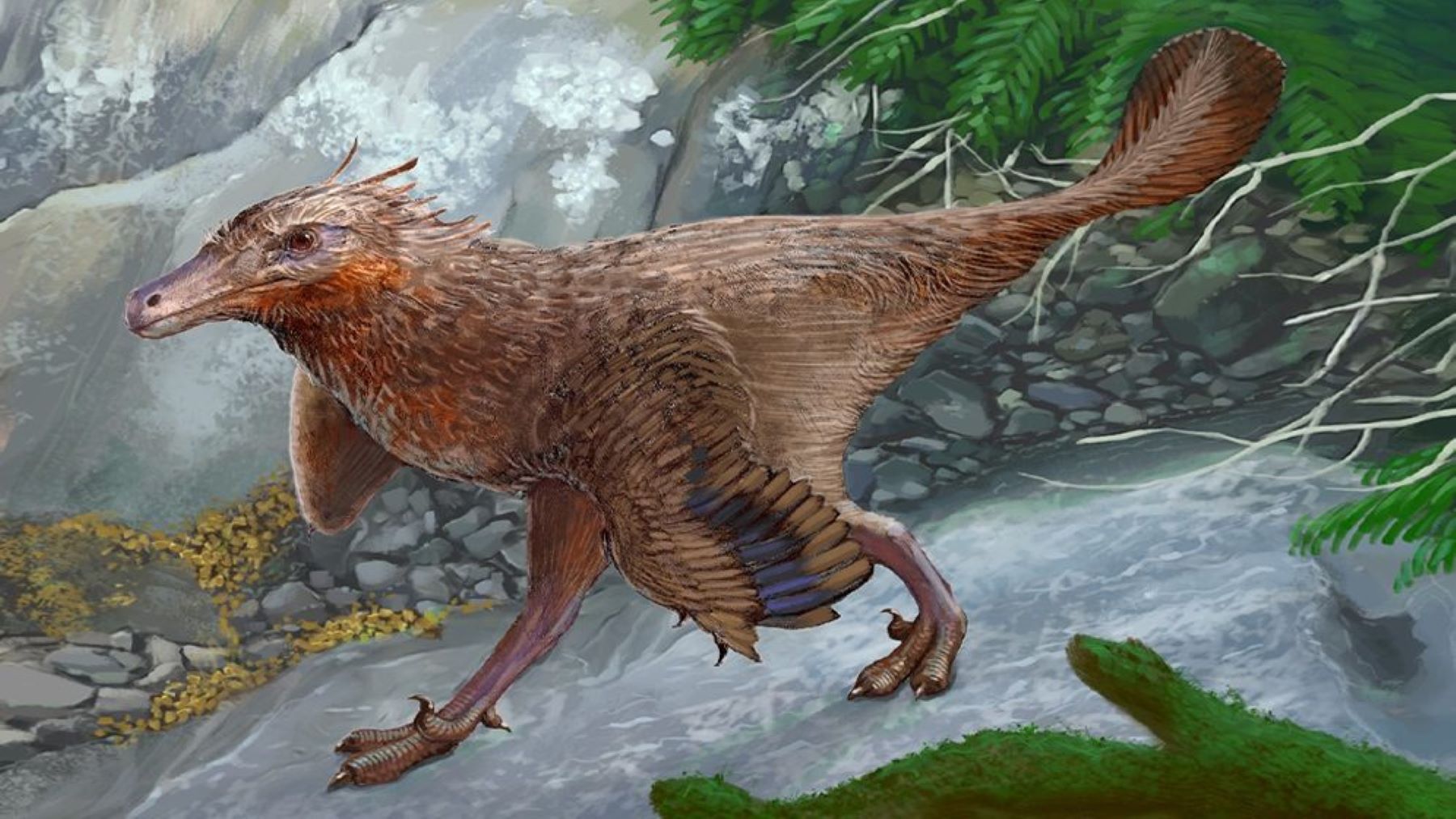 Reconstrucción de Diuqin lechiguanae. Créditos: Hannah Jones y Andrew McAfee.