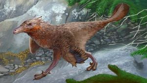 Gran descubrimiento en Neuquén: encontraron una especie de dinosaurio emparentado con las aves