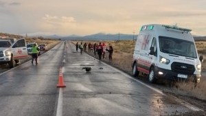 Un muerto en choque sobre la Ruta 40 entre Las Lajas y Zapala: «Es una persona joven la víctima»