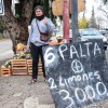Imagen de El insólito fenómeno de la palta en Neuquén: su mercado migró a la calle en ofertas con limones