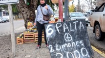 Imagen de El insólito fenómeno de la palta en Neuquén: su mercado migró a la calle en ofertas con limones