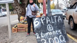 El insólito fenómeno de la palta en Neuquén: su mercado migró a la calle en ofertas con limones