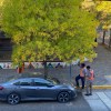 Imagen de Aumenta el estacionamiento medido en Neuquén: cómo queda la tarifa desde este viernes