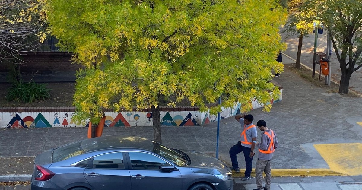 Aumenta el estacionamiento medido en Neuquén: cómo queda la tarifa desde este viernes thumbnail