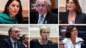 Ley Bases en el Senado: cómo votaron los senadores de Neuquén y Río Negro
