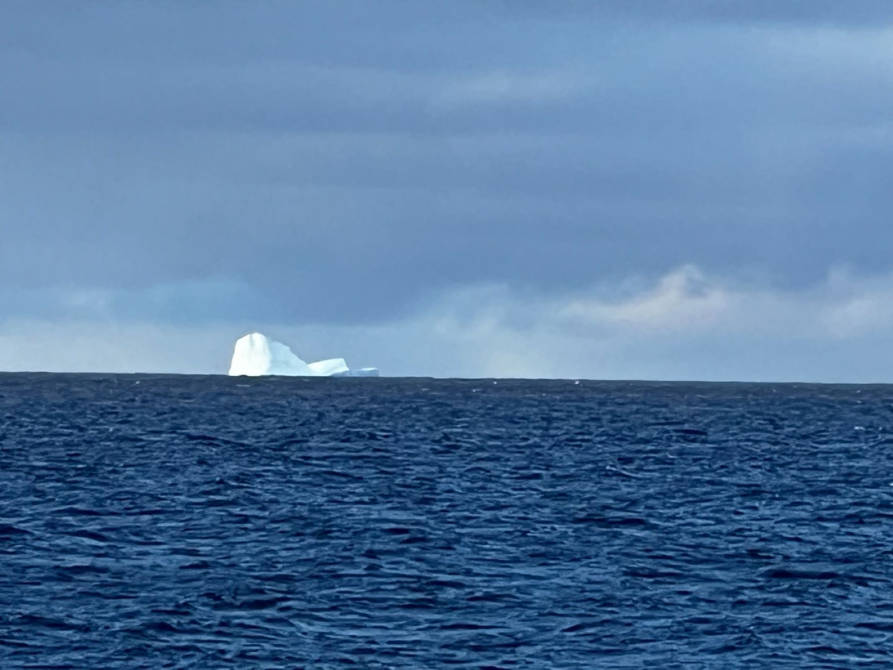 Fueron tres los detectados por los barcos en inmediaciones del canal del Beagle y de la isla de los Estados. (FOTO: Gentileza)