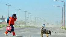 Imagen de Alerta por viento: cuándo terminan las fuertes ráfagas en Neuquén y Río Negro