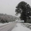 Imagen de Alerta por viento, lluvia y nieve en Neuquén y Río Negro: qué pasa en el Alto Valle con el frío extremo