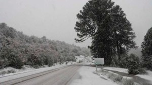 Alerta por viento, lluvia y nieve en Neuquén y Río Negro: qué pasa en el Alto Valle con el frío extremo