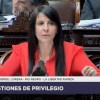 Imagen de Villaverde en el debate de la Ley Bases: “El juego de la politiquería lo realizan los Kicillofs y los Doñates”
