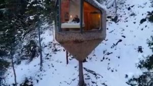 Las curiosas casas del árbol de Noruega que pueden ser ideales en la Patagonia cubierta de nieve