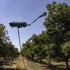 Imagen de Video: así funcionan los drones recolectores de frutas que podrían revolucionar el Alto Valle