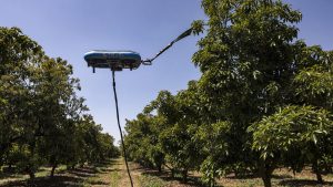 Video: así funcionan los drones recolectores de frutas que podrían revolucionar el Alto Valle