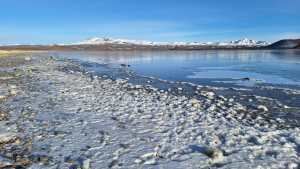 El misterio de los peces muertos que aparecieron sobre la congelada Laguna Blanca