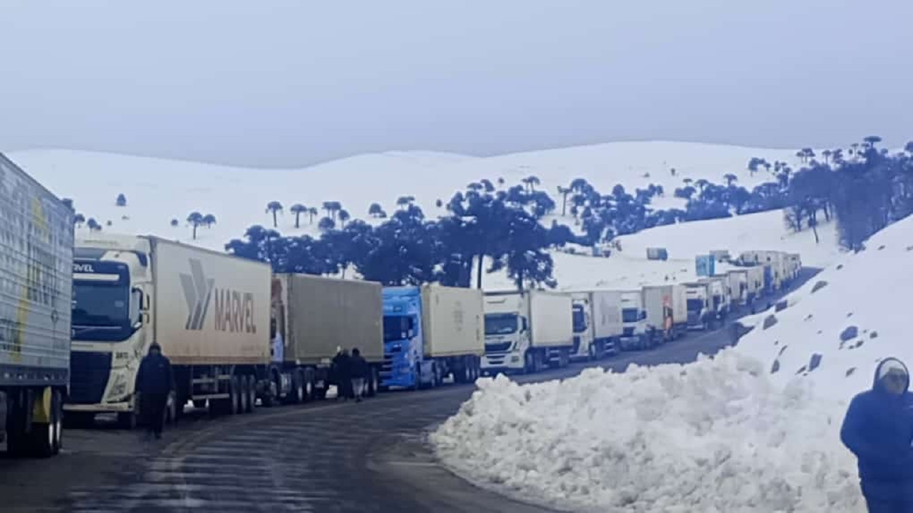 Cientos de camiones esperan cruzar el paso Pino Hachado. Foto: https://www.facebook.com/MunicipalidadLasLajas