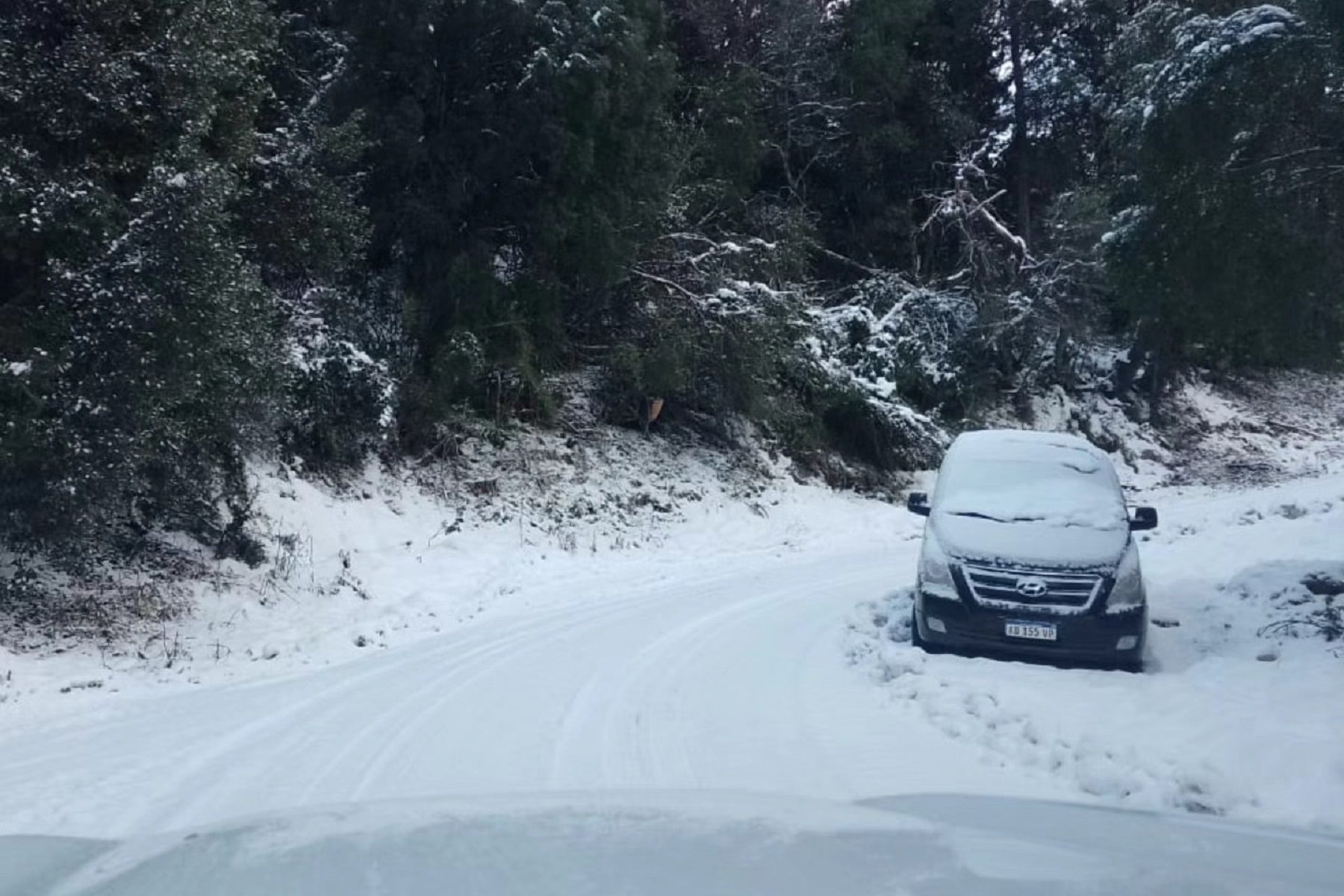 Los efectos del temporal de nieve en el parque Nahuel Huapi. Crédito parque Nahuel Huapi.