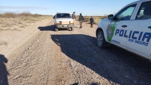 Operativos contra el tráfico de animales: decomisaron tres avestruces y un jabalí en Río Negro