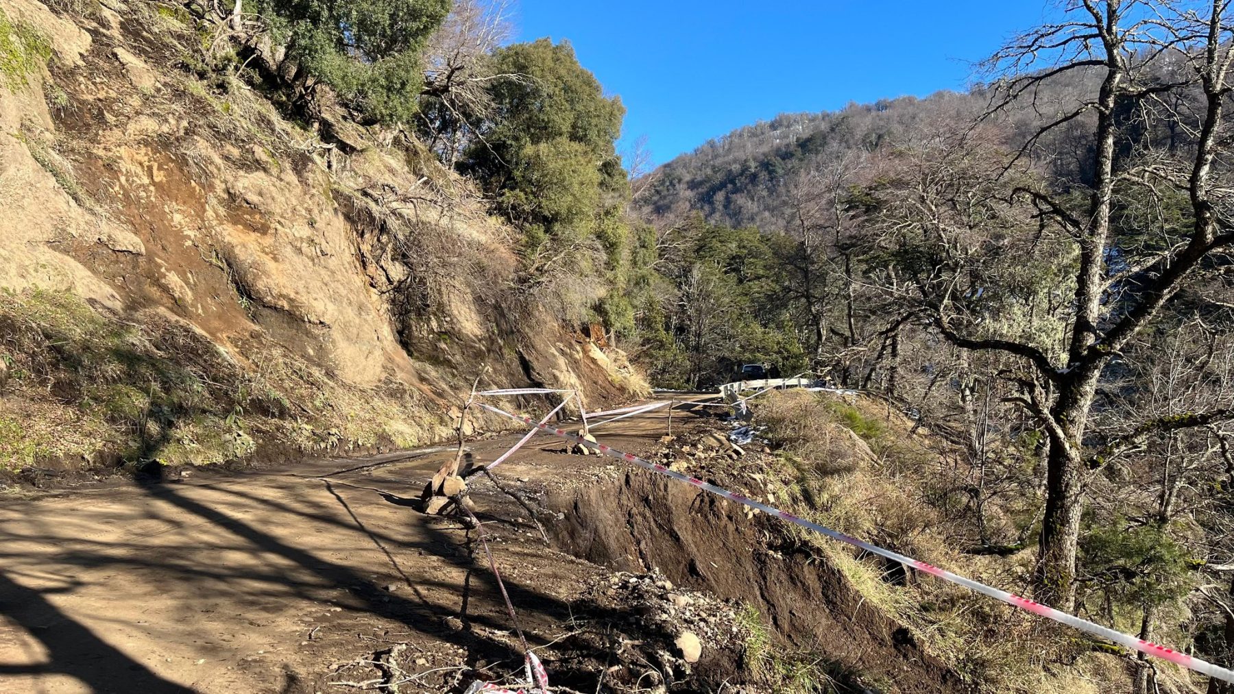 El paso a Quila Quina está restringido en San Martín de los Andes. (Foto parque nacional Lanin) 