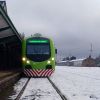 Imagen de Tren Patagónico turístico de Bariloche a Perito Moreno: el famoso viaje por la estepa, ahora puede hacerse de día