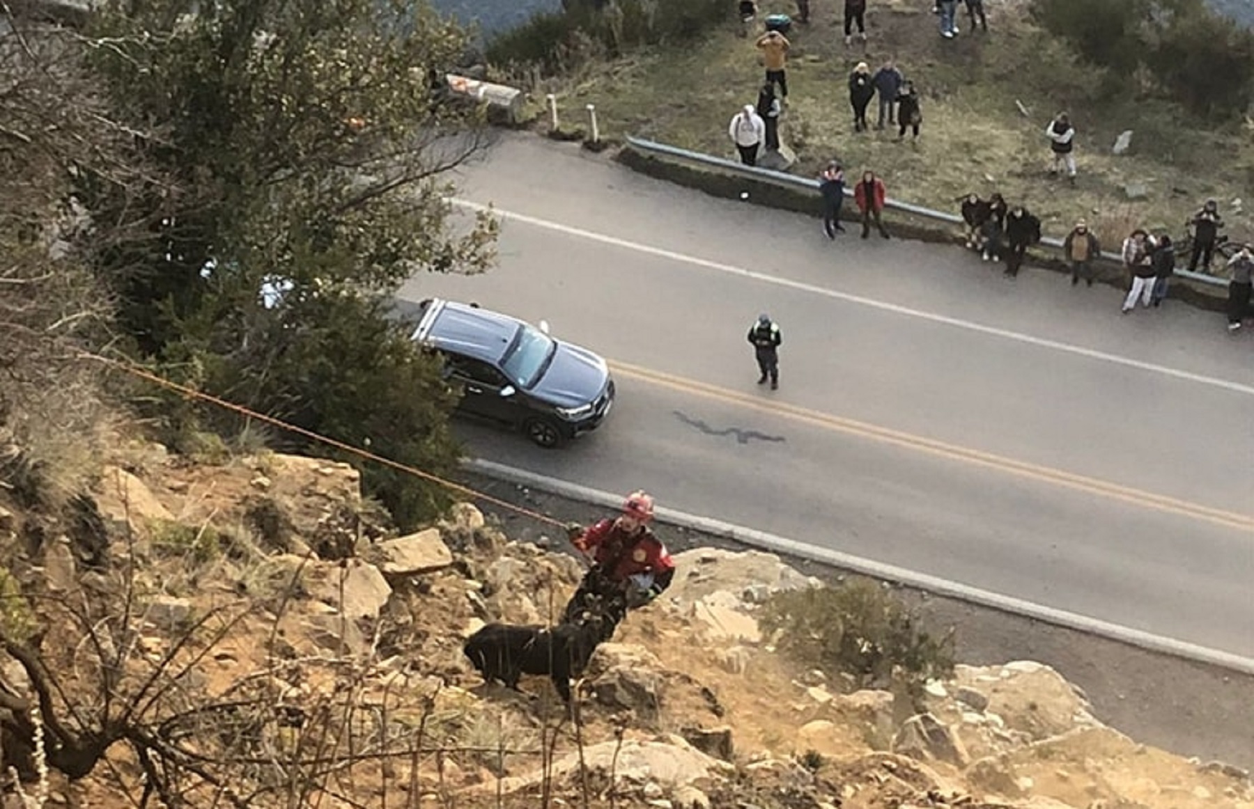 Un grupo especial de bomberos rescato al perro. Foto:https://www.facebook.com/fmdellagoradio/posts/