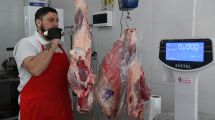 Imagen de En efectivo o pago en cuotas, las estrategias para comer carne en Neuquén y Río Negro