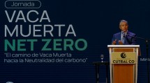 Imagen de Para exportar gas limpio, Vaca Muerta deberá financiar el campo y los bosques