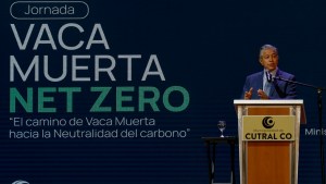 Para exportar gas limpio, Vaca Muerta deberá financiar el campo y los bosques