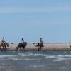 Imagen de Chubut, cabalgar con un baquiano por la costa del mar patagónico: una experiencia extraordinaria