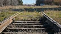 Imagen de Tren del Valle: la Legislatura de Río Negro formó una comisión especial, ¿Cuál será el siguiente paso?