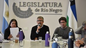 Contratos petroleros: el debate llega a Cipolletti y la oposición pide un dictamen a la Fiscalía de Estado