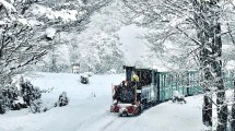 Imagen de Los maravillosos trenes turísticos de Argentina,  entre la nieve o las nubes: cuánto salen los pasajes