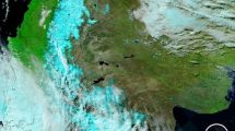 Imagen de ¡La Patagonia de blanco!: las increíbles imágenes satelitales de la nieve que impactaron a las redes