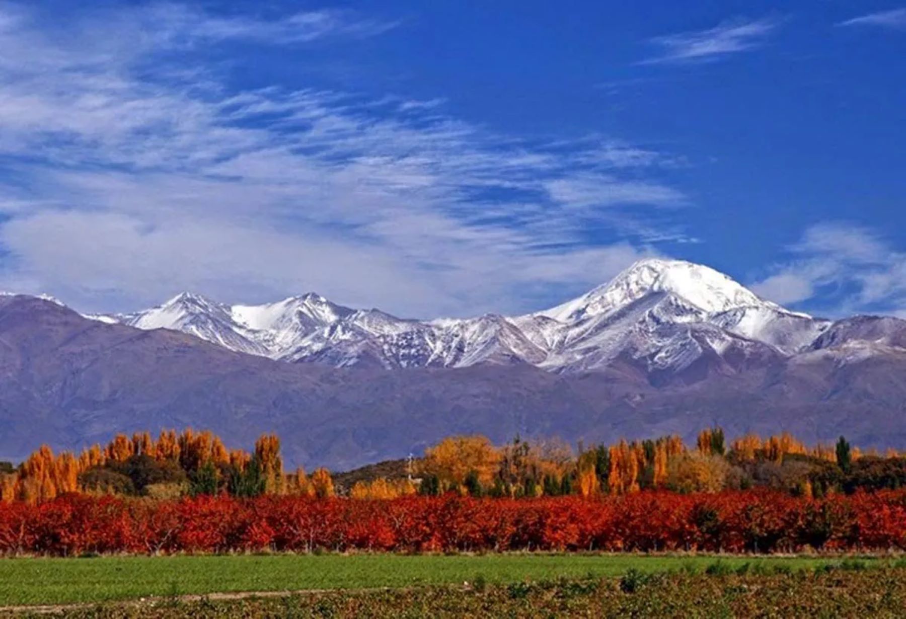 Mendoza, paisajes únicos y descanso asegurado. Si sos de Neuquén enteráte cuánto te saldría viajar y alojarte