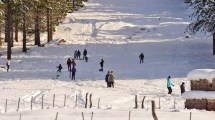 Imagen de «Esto es hermoso»: La alegría de los chicos al aprender a esquiar en el nuevo parque de nieve del norte neuquino en Manzano Amargo