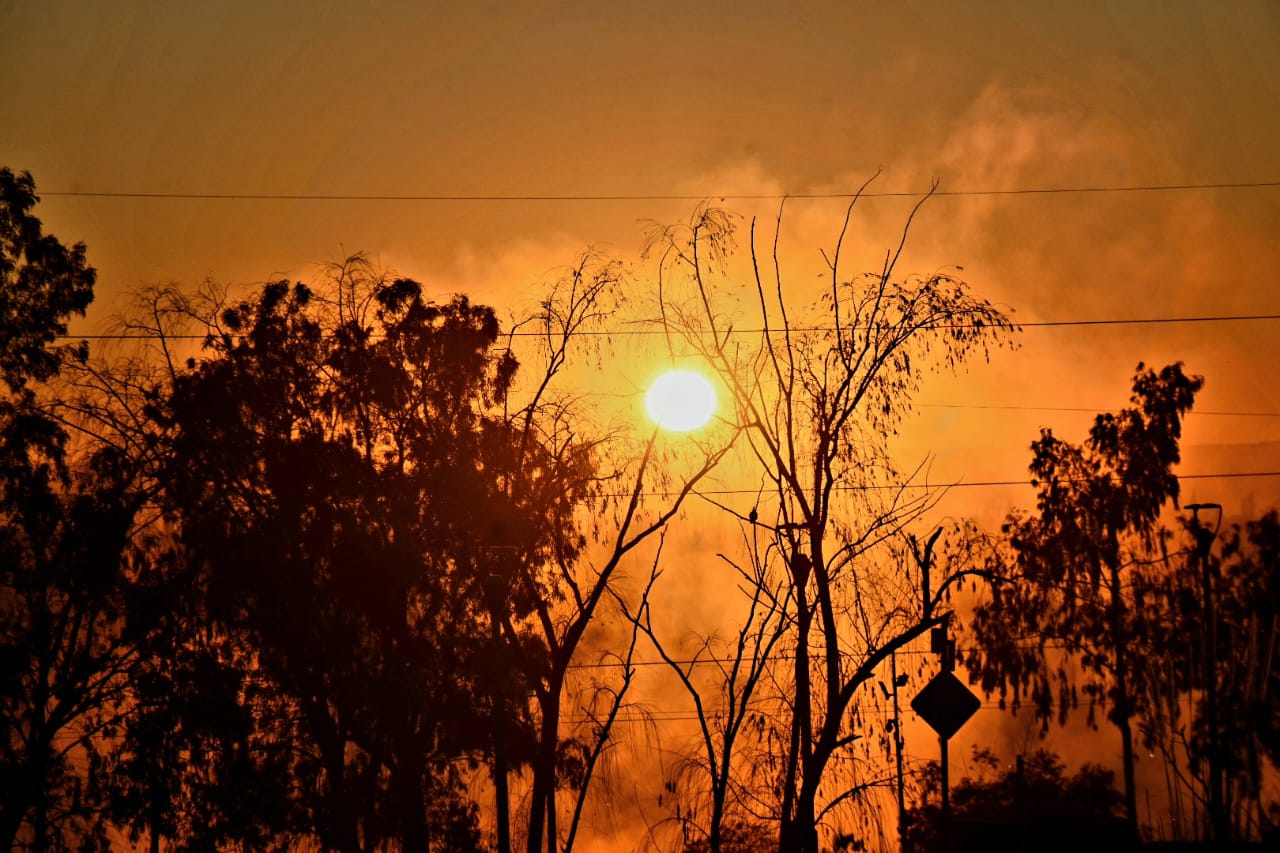 Temperaturas bajo cero en el Alto Valle.  Matías Subat.