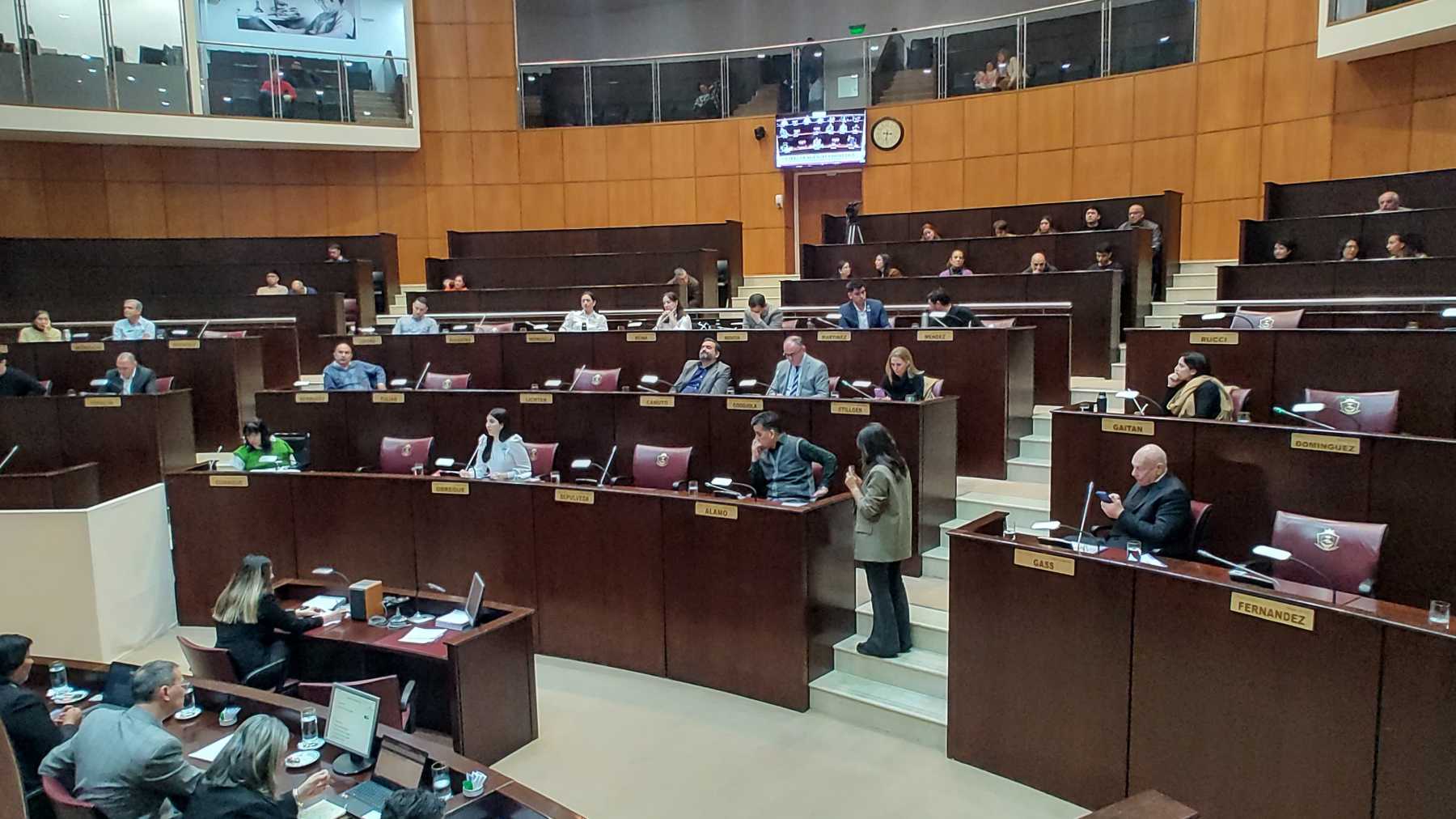 Los diputados sesionarán hoy desde las 10. Se tratará la renuncia de Ángela Barahona (Comunidad) a su banca. Foto: Cecilia Maletti.