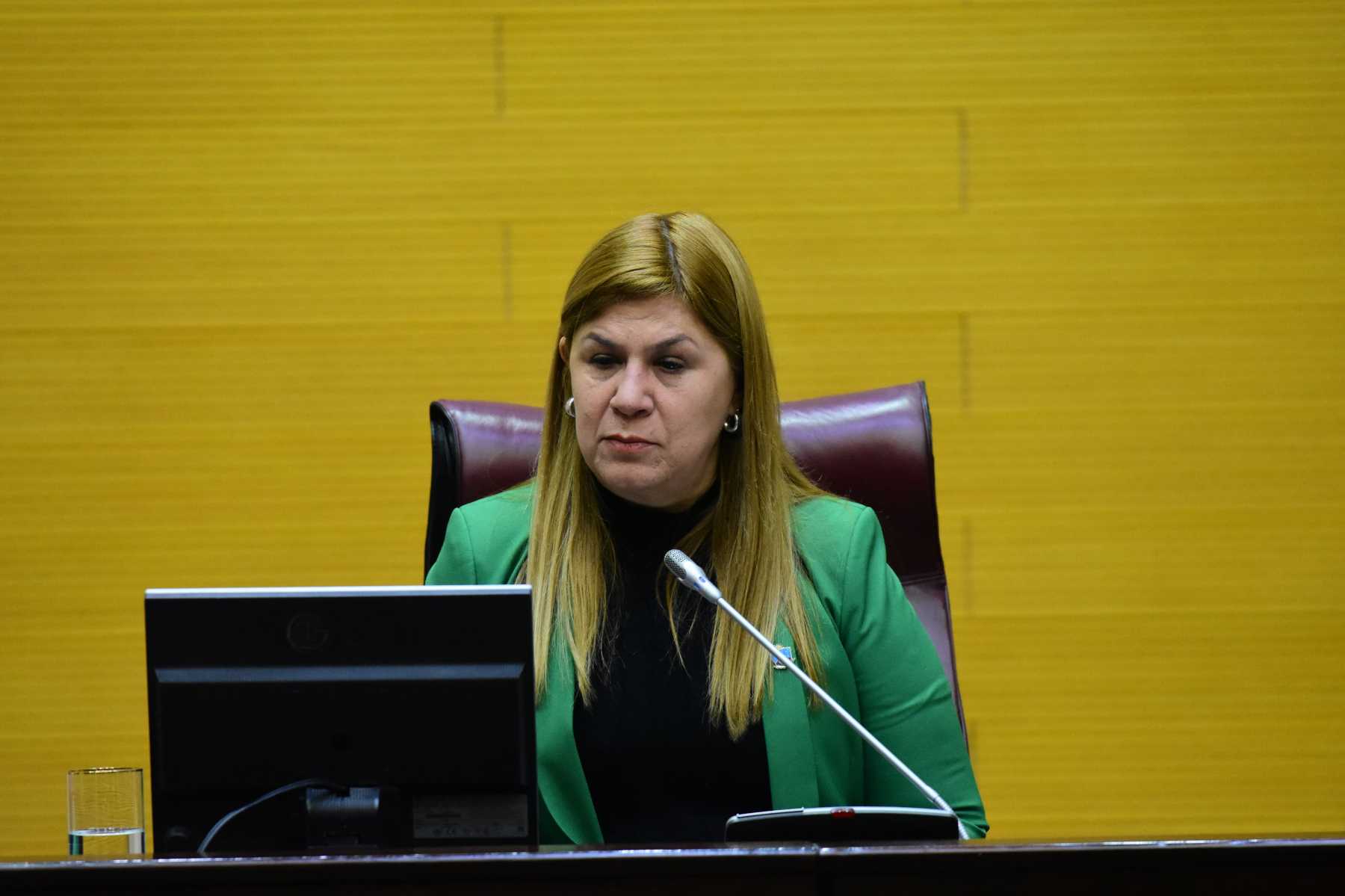 La Legislatura hizo una sesión especial este lunes que continuó pasada la medianoche. Foto: archivo Cecilia Maletti.